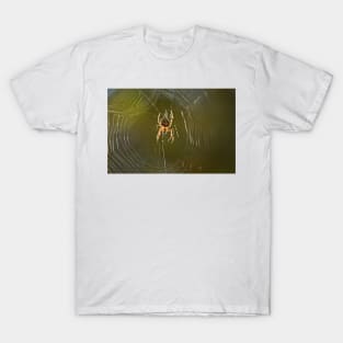 Crowned orb weaver on its web T-Shirt